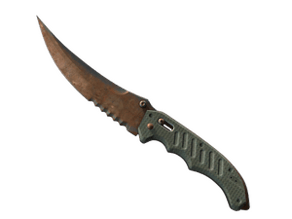Rust Coat image