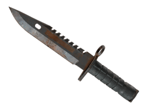 Rust Coat image