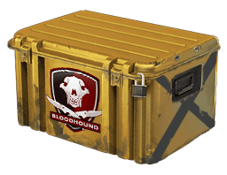 Falchion Case image