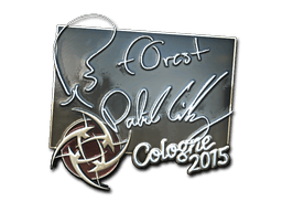 f0rest (Foil) image