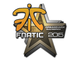 Fnatic image