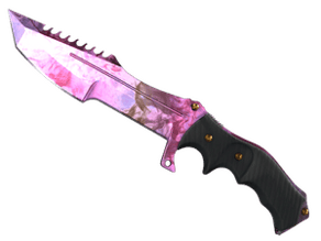 Doppler Phase 2 image