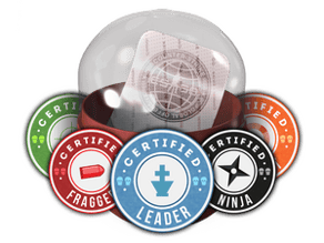Team Roles Capsule image