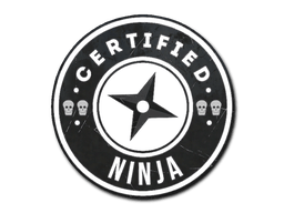The Ninja image
