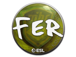fer image