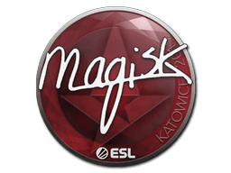 Magisk image