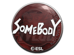 somebody image