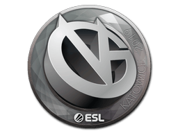 ViCi Gaming image