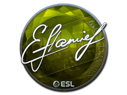flamie (Foil) image