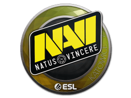 Natus Vincere image