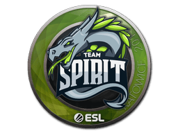 Team Spirit image