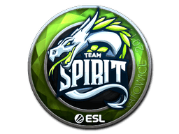 Team Spirit (Foil) image