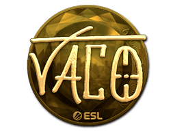TACO (Gold) image