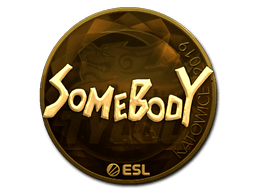 somebody (Gold) image
