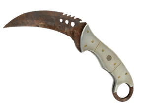Rust Coat image