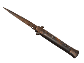 Rust Coat image