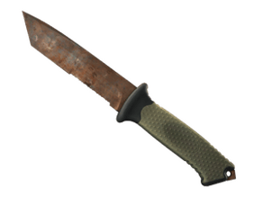 Rust Coat image