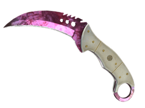 Doppler Phase 2 image