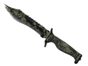 Safari Mesh image