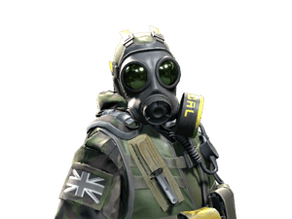 SAS image