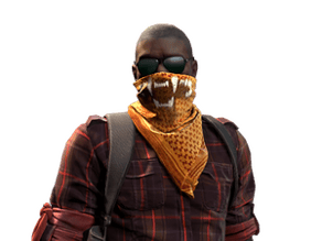 Elite Crew image