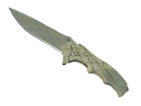 Safari Mesh image