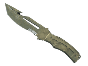 Safari Mesh image