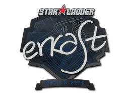 erkaSt image