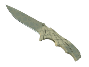 Safari Mesh image