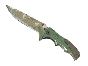 Forest DDPAT image