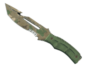 Forest DDPAT image