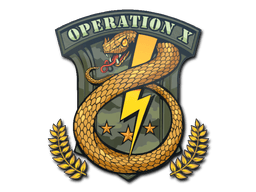 Badge of Service image