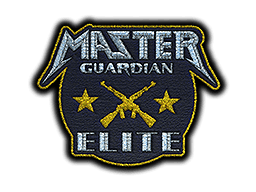 Metal Master Guardian Elite image
