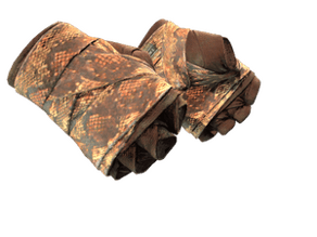 Constrictor image