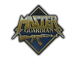 Metal Master Guardian image