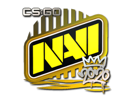 Natus Vincere image