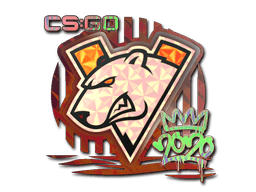 Virtus.pro (Holo) image