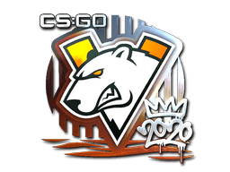 Virtus.pro (Foil) image