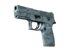 Forest Night image