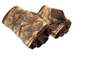 Constrictor image