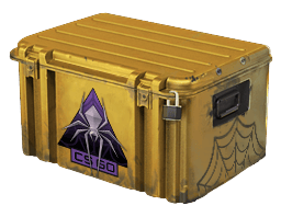 Shattered Web Case image