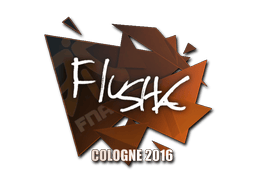 flusha image