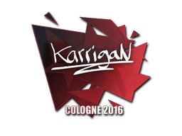 karrigan image