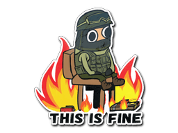 This Is Fine (CT) image