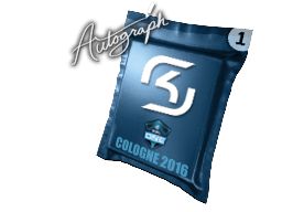 SK Gaming image