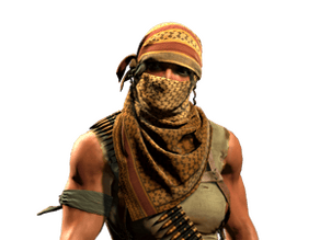 Guerrilla Warfare image