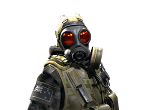 NZSAS image