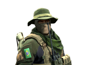 Brazilian 1st Battalion image