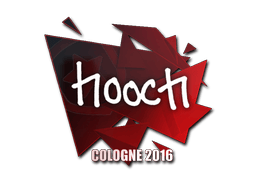 hooch image