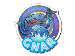 Blue Gnar image